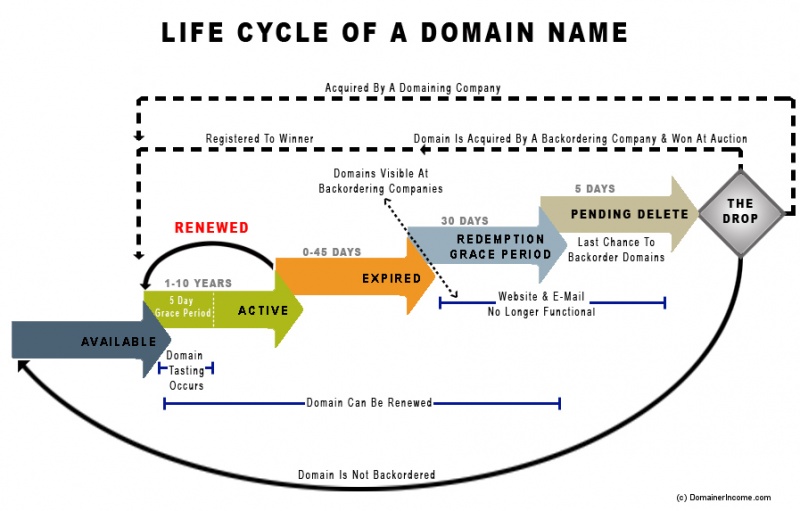 expired-domains-life-cycle